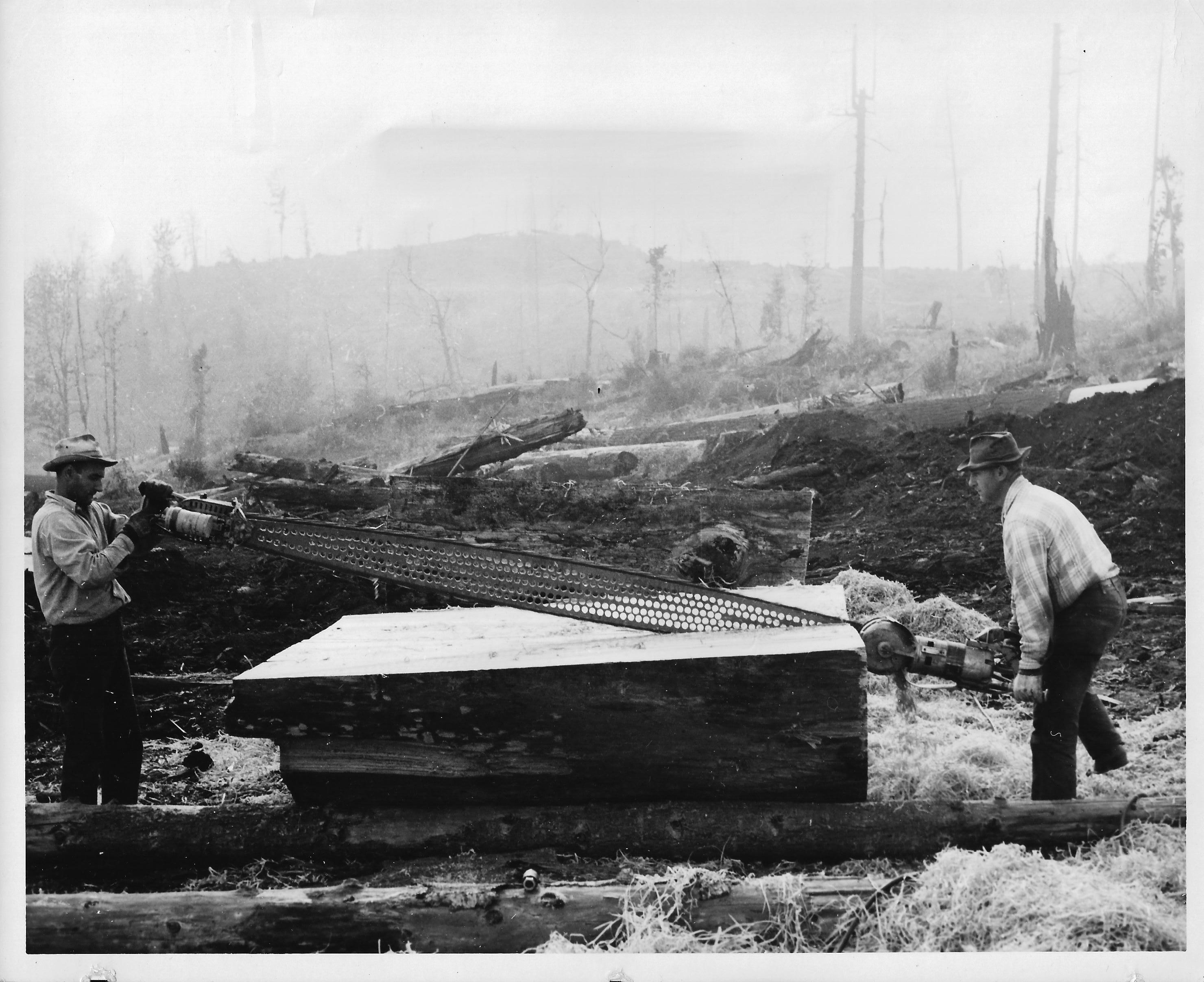 The Chainsaw Lumber Mill